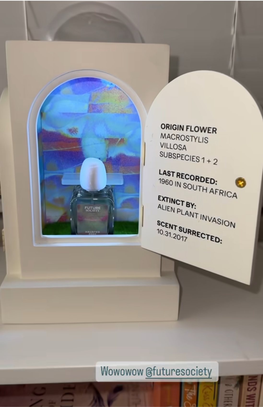 The Future Society PR box — an arch revealing the origin flower's story