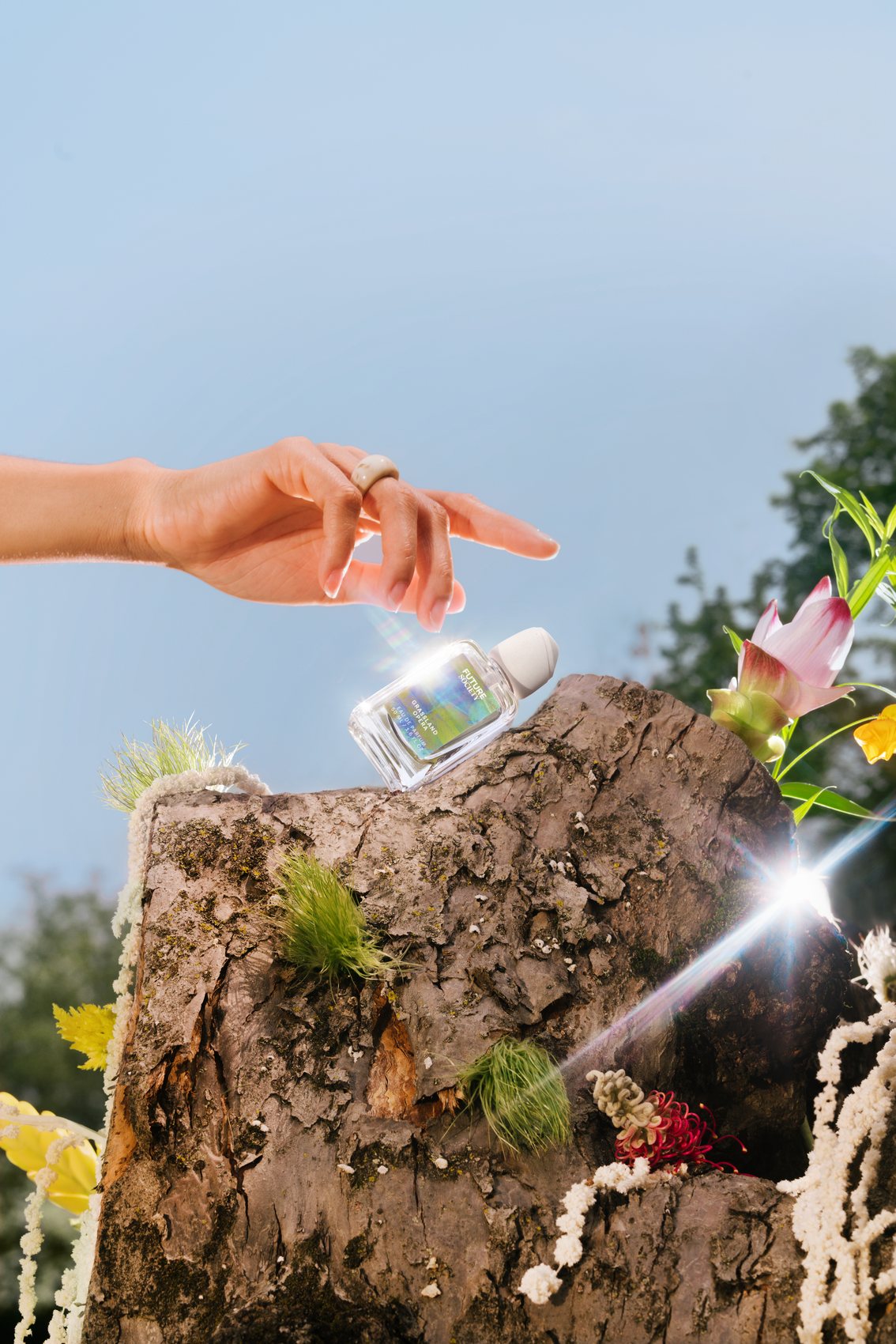 A hand reaching for the Future Society bottle on a mossy stump