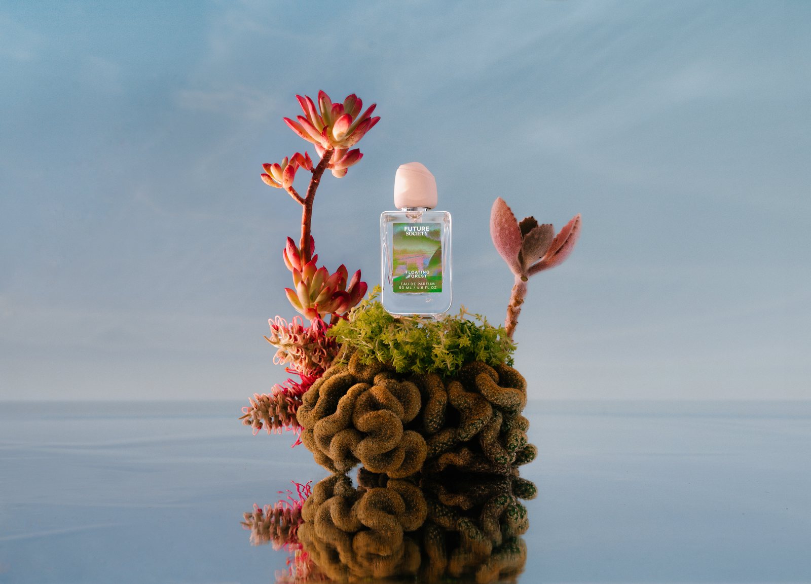 Floating Forest — the fragrance on its succulent island